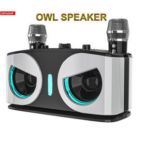 휴대용 노래방 기계 홈라오케 HIFI 사운드 무선 블루투스 스피커 듀얼 마이크 포함 야외 가족 파티 서브 우퍼 박스 선물용 20W
