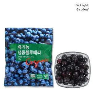 딜라잇가든 냉동 유기농 블루베리 500g x 10팩