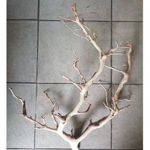 고스트우드,드리프트우드,가지유목,만자니타45~55cm