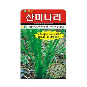 산미나리 씨앗 400립 미나리 씨 종자