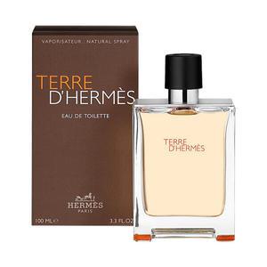아트박스/에르메스 에르메스 떼르 데르메스 EDT 100ml