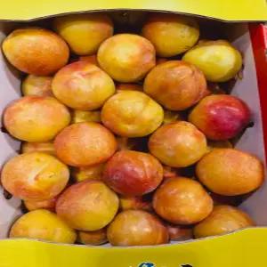 당도선별 대석자두 추희 도담 후무사 자두 2kg, 5kg
