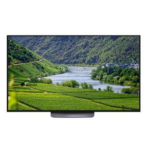 LG전자 OLED55C3SNA evo 스탠드 55인치 4K OLED TV 대성가전