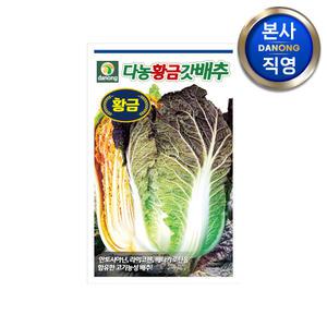 다농 황금갓배추 씨앗 300립 . 야채 채소 엽채류 김장 가을 파종 텃밭 씨 종자