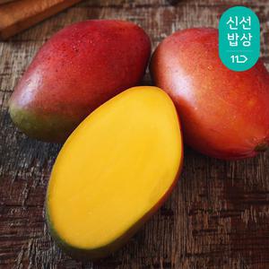 (항공직수입) 당도보장 신선한 애플망고 총 1.6kg 이상 (로얄과/4~6입)