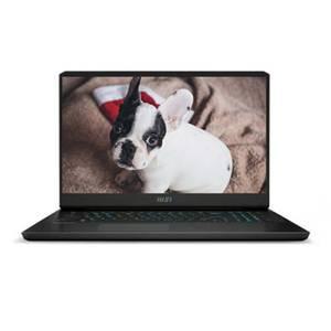 MSI 알파 17 C7VG-R9 QHD WIN 11설치 RAM 64GB