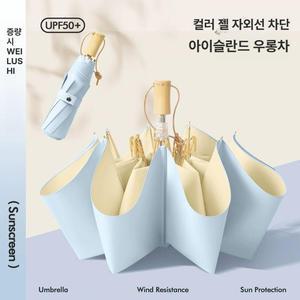 나비 양산브랜드 암막 초경량 여름 양우산 핸드백양산