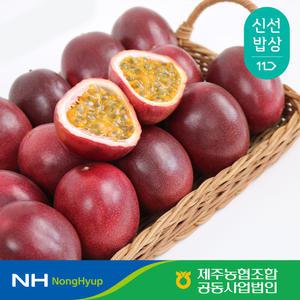 [제주농협] 제주 백향과 패션후르츠 생과 1.5kg 중과 대과