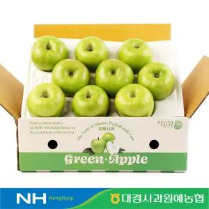 [대경사과원예농협]경북 초록사과 2kg 구성 아오리 썸머킹