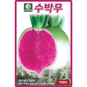 다농 수박무 씨앗 100립 과일무씨 종자