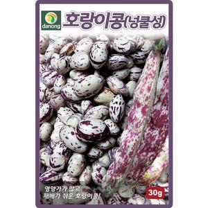 다농 호랑이콩 씨앗 30g 넝쿨성 강낭콩씨 종자