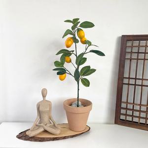 하이오브제 레몬나무 레몬트리 조화 화분 세트 3 size