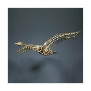 고니 Swan
