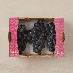 춘향골 캠벨포도 1kg 박스