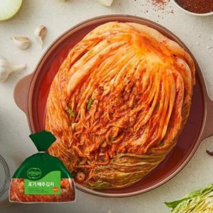 [CJ제일제당][T]비비고 베이직 포기배추김치 10kg(산지직송)