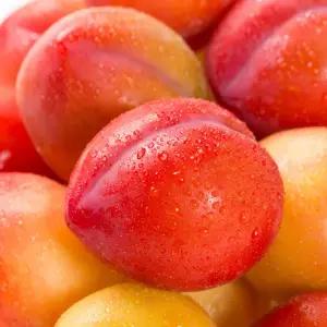 [농할] 프리미엄 경산 와촌 자두 500g, 1kg,2kg