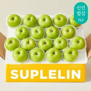 [산지발송] 여름에만 맛보는 햇 청사과 아오리사과 5kg(극소과/소과/대과/로얄과)