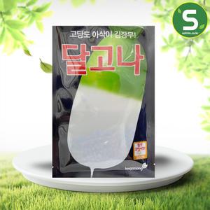 김장무씨앗 300립 달고나씨앗 김장무 가을무 코팅씨앗