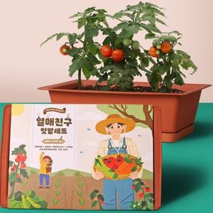 열매친구 키우기 세트(화분받침포함)/방울토마토,오이,미니당근,텃밭