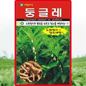 아람종묘 둥글레 씨앗 20립 황정 둥글레씨 약초 종자