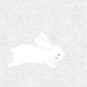 파크론 유아 양면 놀이 매트 헬로버니 250x140x1.5