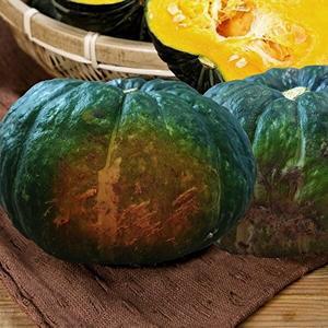 [자연맛남]제주 미니 단호박 밤호박(보우짱) 10kg (못난이)
