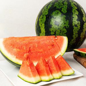국내산 고당도 하우스 씨없는 수박 꿀수박 5~9kg