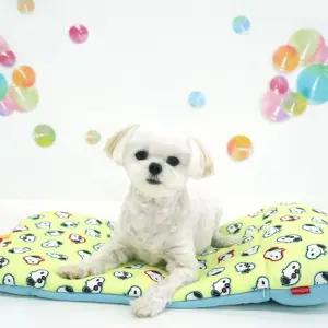 패리스독 버블 아이스쿨 멀티 쿠션 스팩 포함반려견방석 애견하우스방 강아지방 애석 스쿠션 여름 여름방