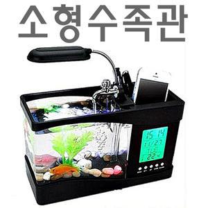 새우키우기 구피종류 물고기어항 열대어종류