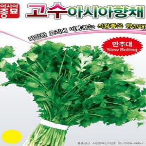 고수(아시아향채) 씨앗 300립