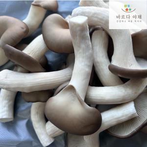 바르다야채 국내산 느타리버섯 특품 1kg 2kg