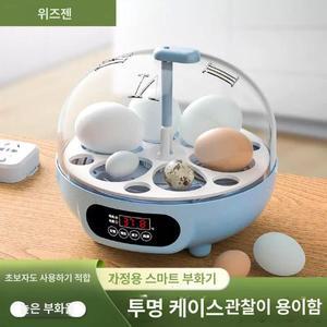 부화용 오리알 계란 부화기 유정란 무항생제 달걀