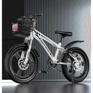 팻바이크 MTB 입문용 자전거 광폭자전거 엠티비 오프로드 성인용 상품
