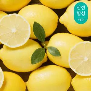 정품 팬시 레몬 골라담기 (20개/30개/50개, 1개당 121g내외)