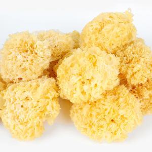 노씨네 백목이버섯 1kg흰목이버섯 목이버섯 건조 500g