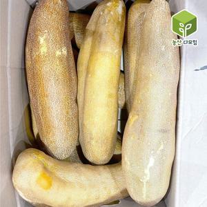 국내산 늙은오이 노각오이 상 10kg