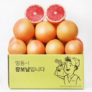 직수입 자몽 루비자몽 레드자몽 소과 10과