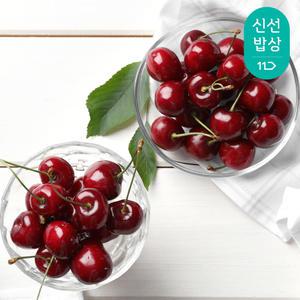[품질보장]워싱턴 항공 체리 9.5R- 특대과 500g