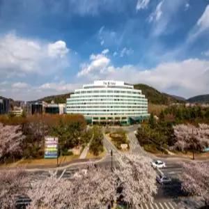 [경북 호텔] The-K 더케이 호텔 경주 (경주(보문단지,황리단길,불국사,양남,감포,안강))