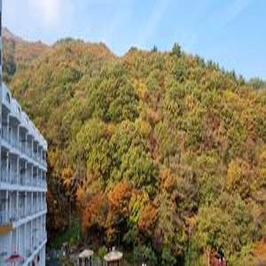 [전남] 구례 준성리조트(전남호텔/구례호텔)