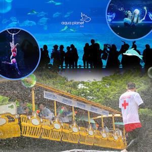 |한정| 제주 완전정복 폭삭 내려수다 아쿠아플라넷 제주 X 에코랜드 테마파크 신규컨텐츠 오픈 기념 (~8/31사용가능) (가볼만한곳/관광/투어/자유여행/가족/친구/연인/아이와함께)