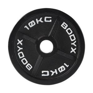 [바디엑스] [낱개] 케이언 중량원판 10kg 홀 50mm 주물 아이언