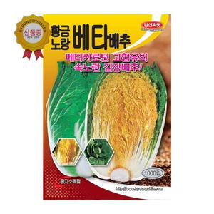 배추씨앗 황금노랑베타배추 1000립 베타카로틴 고함유