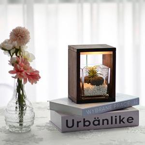 우드 플랜테리어 테라리움 무드등 만들기 DIY 키트