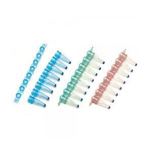 Restriction Enzyme(제한효소)
