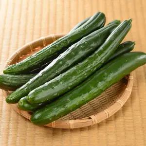 국내산 가시오이 취청오이 특품 2kg