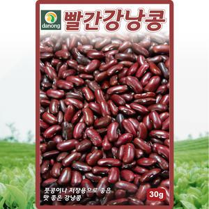 다농 빨간강낭콩 씨앗 30g 비넝쿨 강낭콩씨 풋콩 종자