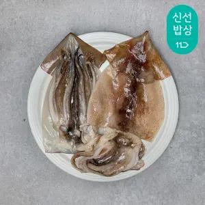 [은하수산] 손질 오징어 1.1kg (4~8미)