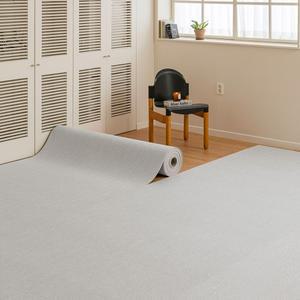 파크론 더스트앤드 쿠션 롤매트 럭스그레이 140x100x0.55cm