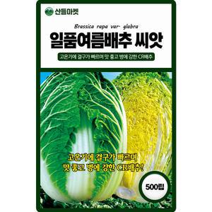 산들마켓 일품여름 배추 씨앗 500립 고온기에 결구가 빠르며 병에 강한 CR배추 국내산 우수선별 종자